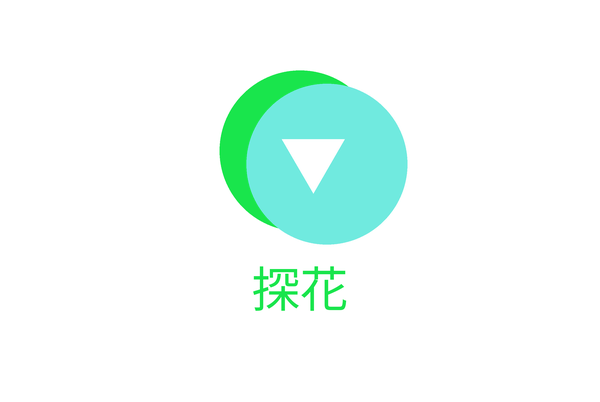探花
